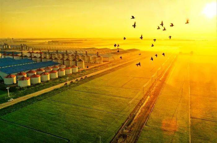 富硒茶公司使命是什么（富硒茶公司使命是什么）-硒宝网