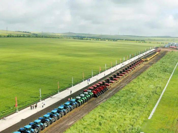 富硒茶公司使命是什么（富硒茶公司使命是什么）-硒宝网