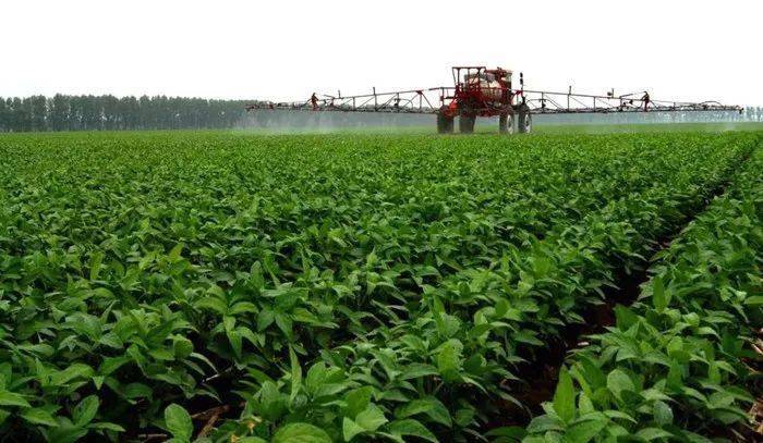 富硒茶公司使命是什么（富硒茶公司使命是什么）-硒宝网