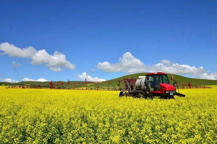 富硒茶公司使命是什么（富硒茶公司使命是什么）-硒宝网