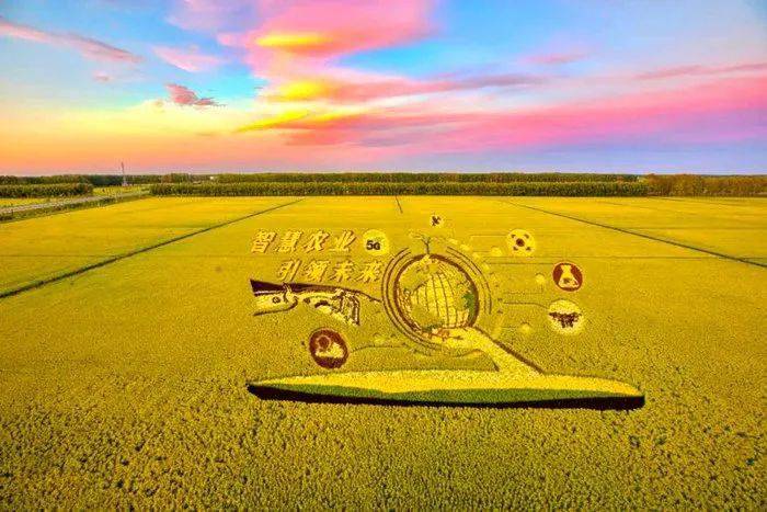 富硒茶公司使命是什么（富硒茶公司使命是什么）-硒宝网