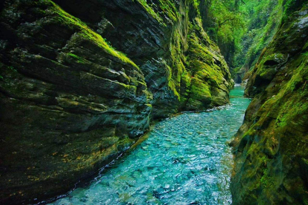 有名的恩施富硒茶价格（恩施富硒茶叶多少钱一斤）-硒宝网