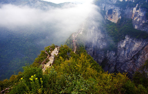 有名的恩施富硒茶价格（恩施富硒茶叶多少钱一斤）-硒宝网