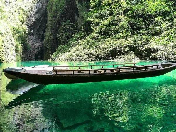 有名的恩施富硒茶价格（恩施富硒茶叶多少钱一斤）-硒宝网