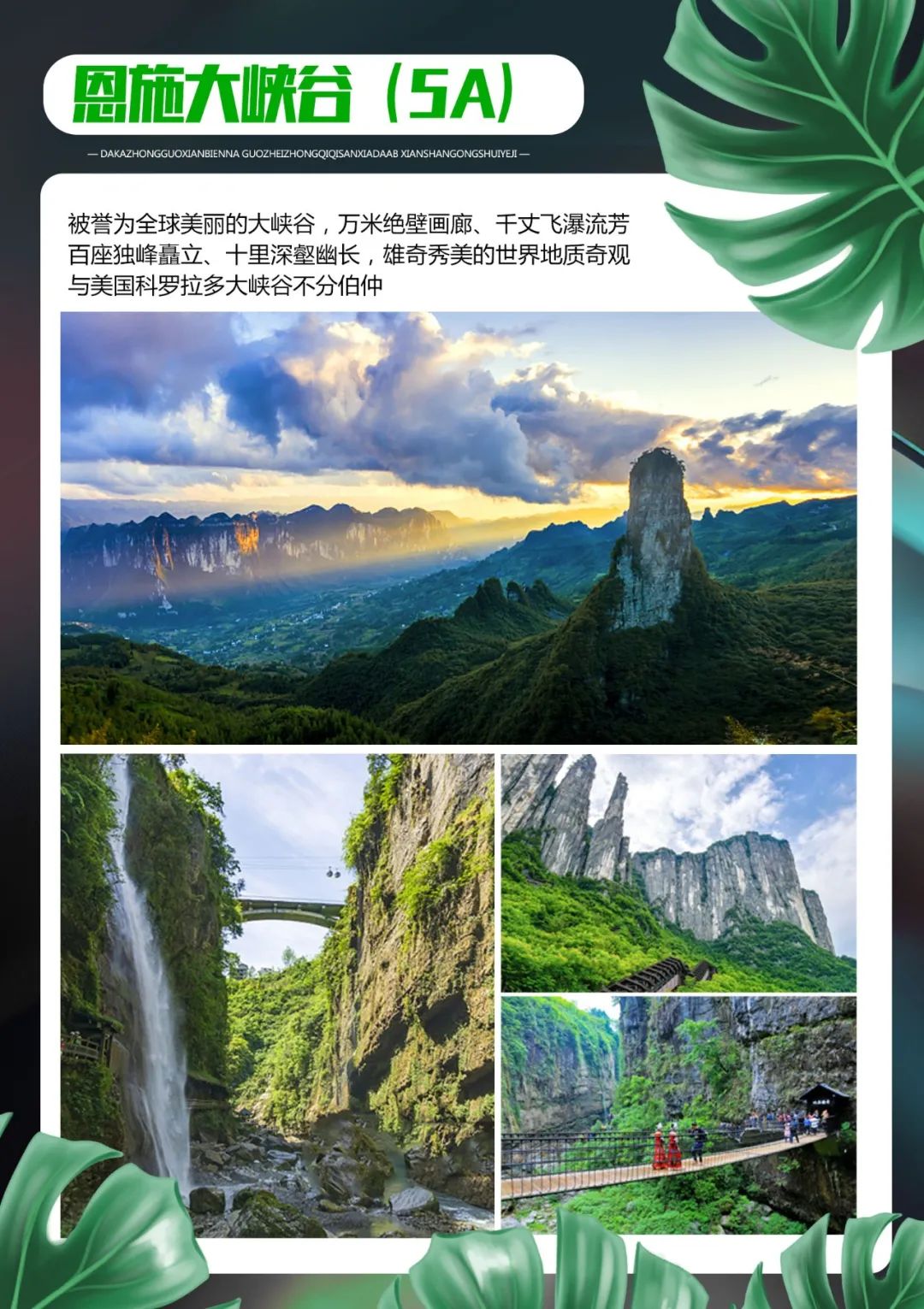 有名的恩施富硒茶价格（恩施富硒茶叶多少钱一斤）-硒宝网