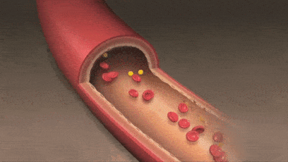 莓茶和富硒茶区别大吗(富硒莓茶的功效)-硒宝网