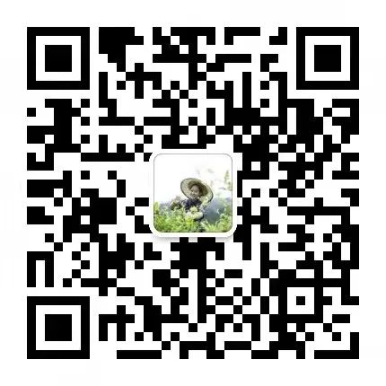 莓茶和富硒茶区别大吗(富硒莓茶的功效)-硒宝网