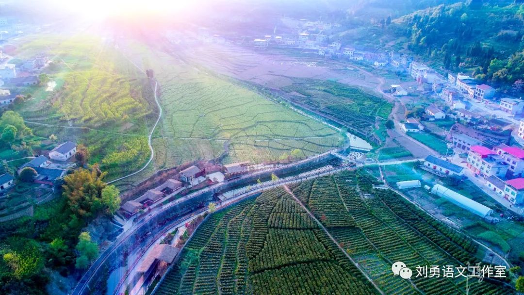 紫阳富硒茶济南哪儿卖(紫阳富硒茶多少钱一斤)-硒宝网