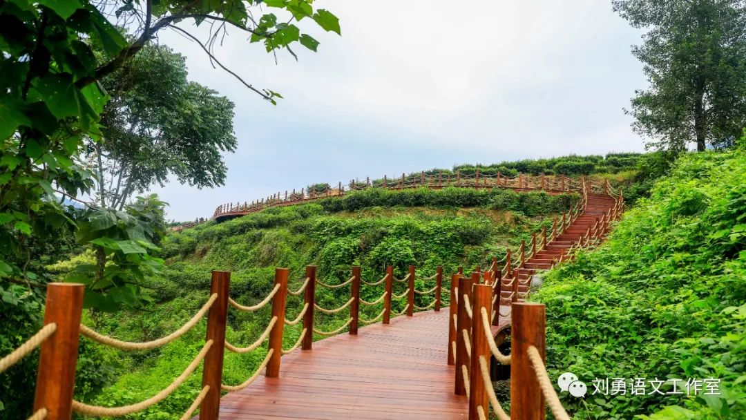 紫阳富硒茶济南哪儿卖(紫阳富硒茶多少钱一斤)-硒宝网