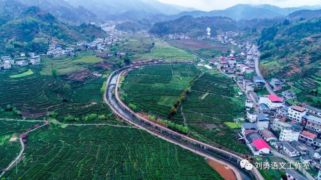 紫阳富硒茶济南哪儿卖(紫阳富硒茶多少钱一斤)-硒宝网