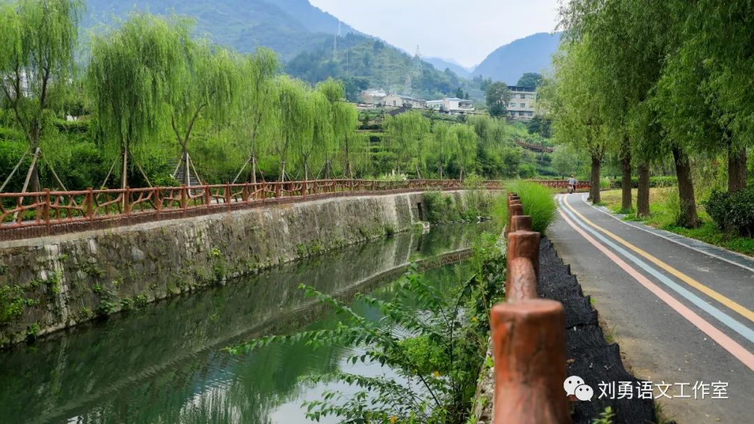 紫阳富硒茶济南哪儿卖(紫阳富硒茶多少钱一斤)-硒宝网