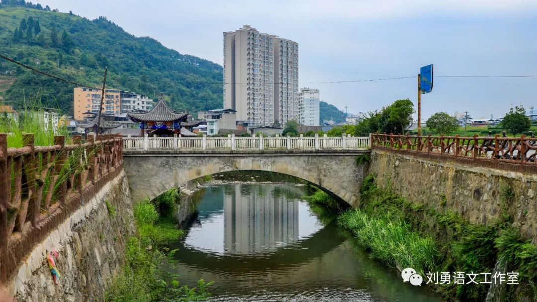 紫阳富硒茶济南哪儿卖(紫阳富硒茶多少钱一斤)-硒宝网