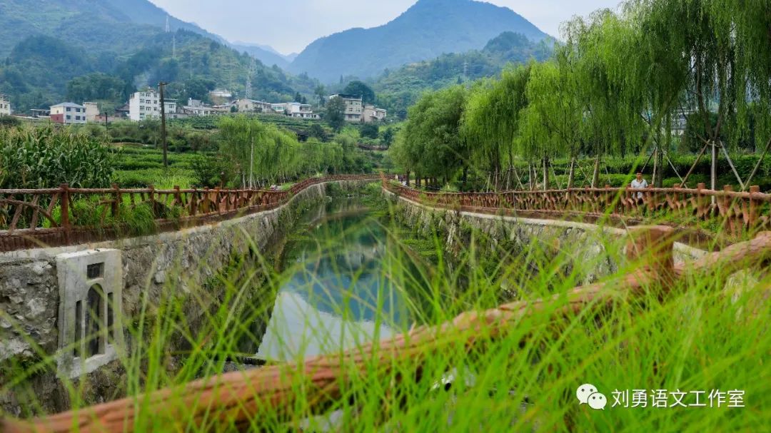 紫阳富硒茶济南哪儿卖(紫阳富硒茶多少钱一斤)-硒宝网