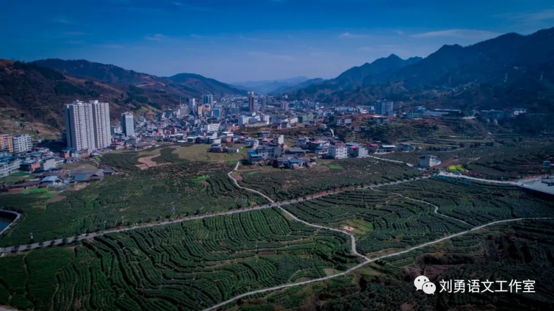 紫阳富硒茶济南哪儿卖(紫阳富硒茶多少钱一斤)-硒宝网