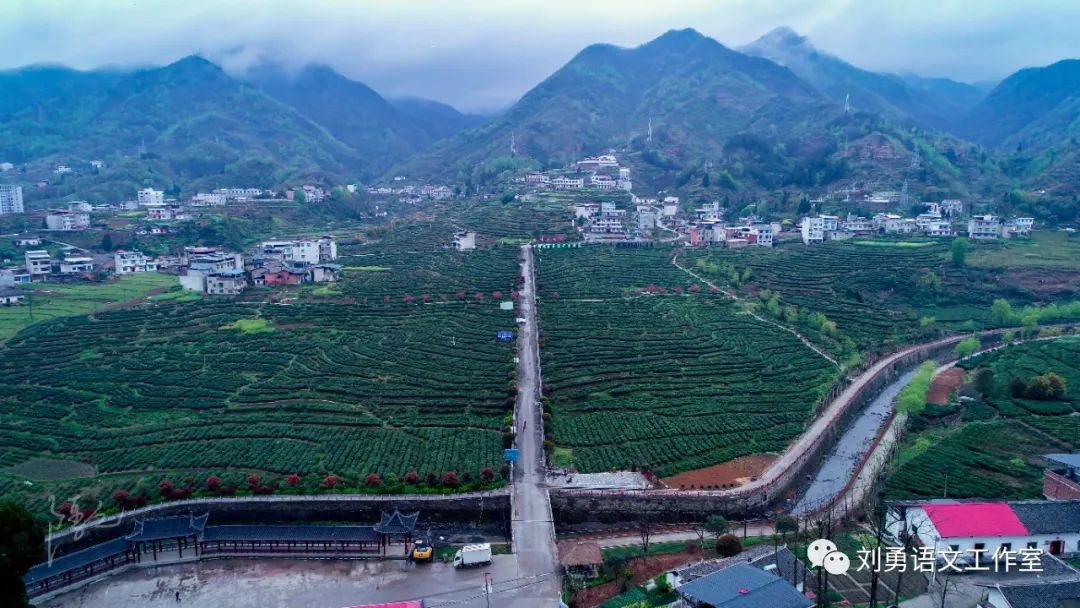 紫阳富硒茶济南哪儿卖(紫阳富硒茶多少钱一斤)-硒宝网