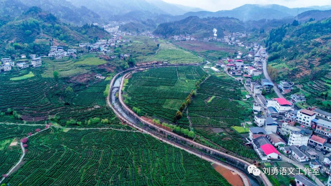 紫阳富硒茶济南哪儿卖(紫阳富硒茶多少钱一斤)-硒宝网