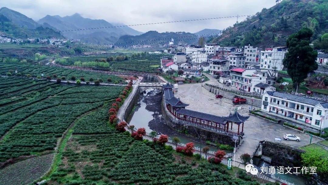 紫阳富硒茶济南哪儿卖(紫阳富硒茶多少钱一斤)-硒宝网