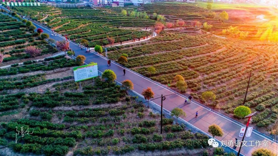 紫阳富硒茶济南哪儿卖(紫阳富硒茶多少钱一斤)-硒宝网
