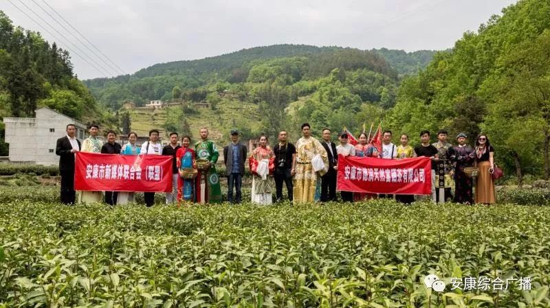 紫阳富硒茶济南哪儿卖(紫阳富硒茶的竞争对手)-硒宝网