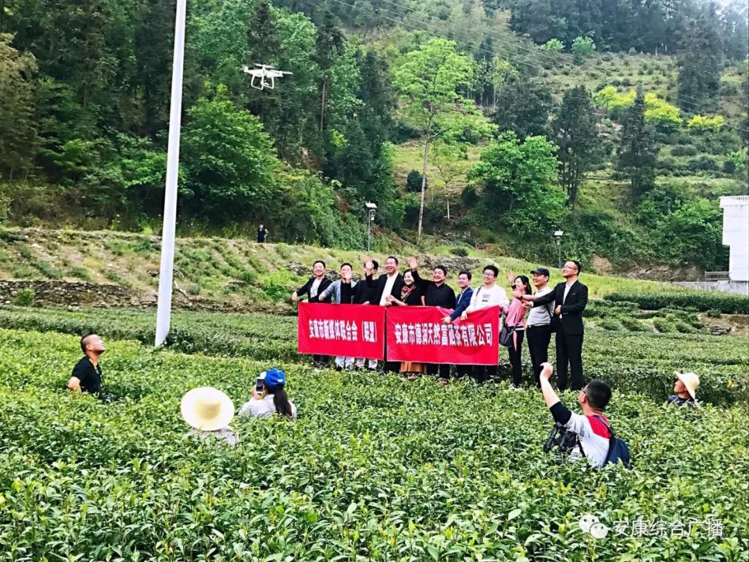 紫阳富硒茶济南哪儿卖(紫阳富硒茶的竞争对手)-硒宝网