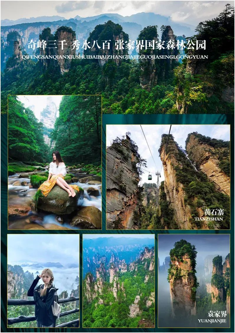 有名的恩施富硒茶价格(湖北恩施富硒茶叶)-硒宝网