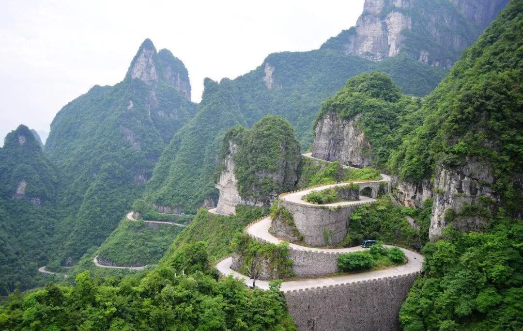 有名的恩施富硒茶价格(湖北恩施富硒茶叶)-硒宝网