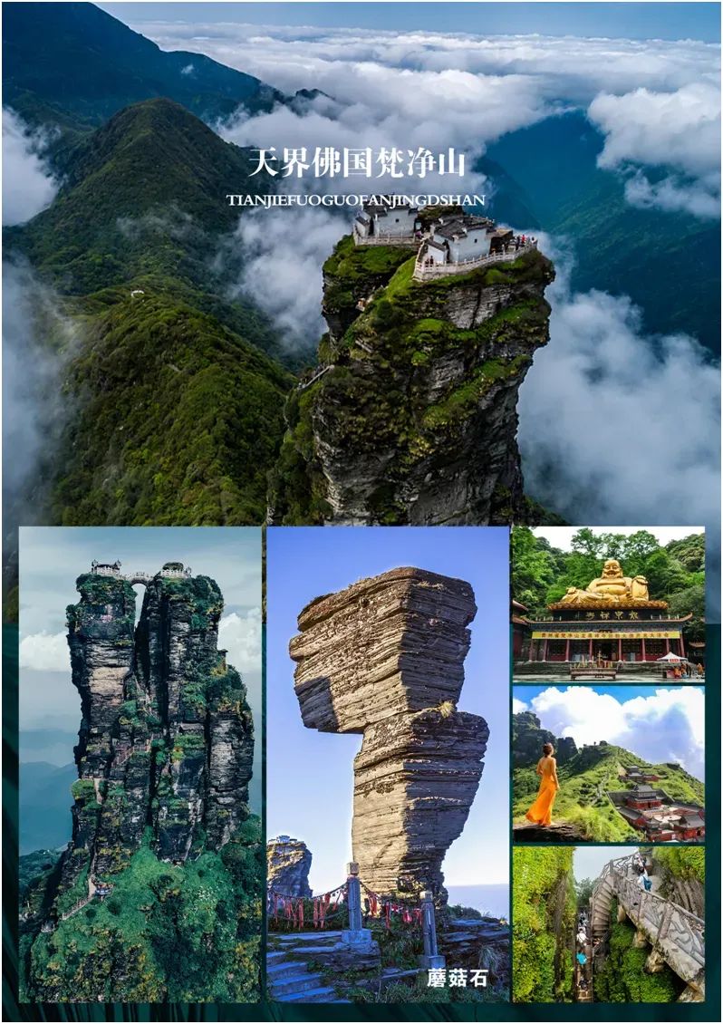 有名的恩施富硒茶价格(湖北恩施富硒茶叶)-硒宝网