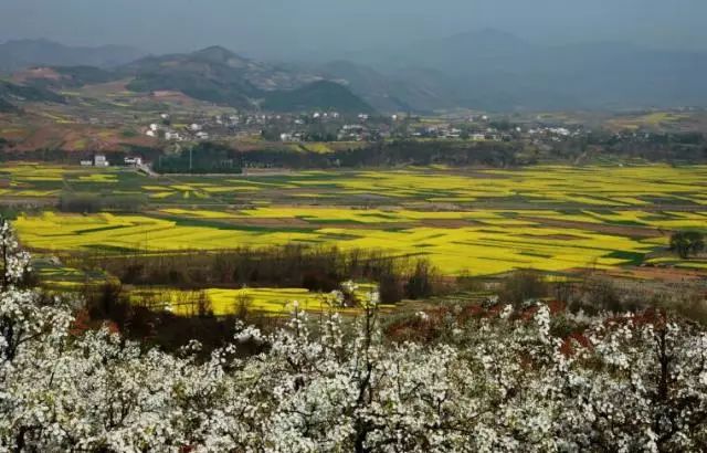 陕西紫阳富硒茶品天下(紫阳富硒茶厂)-硒宝网