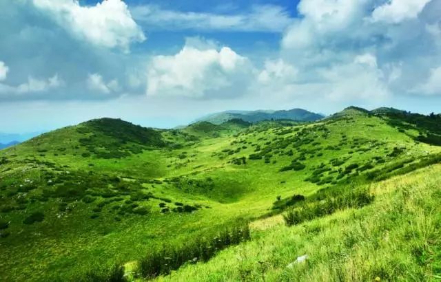 陕西紫阳富硒茶品天下(紫阳富硒茶厂)-硒宝网