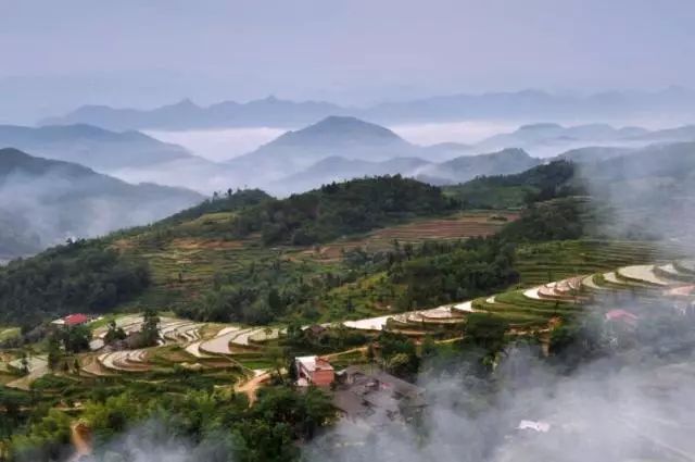 陕西紫阳富硒茶品天下(紫阳富硒茶厂)-硒宝网