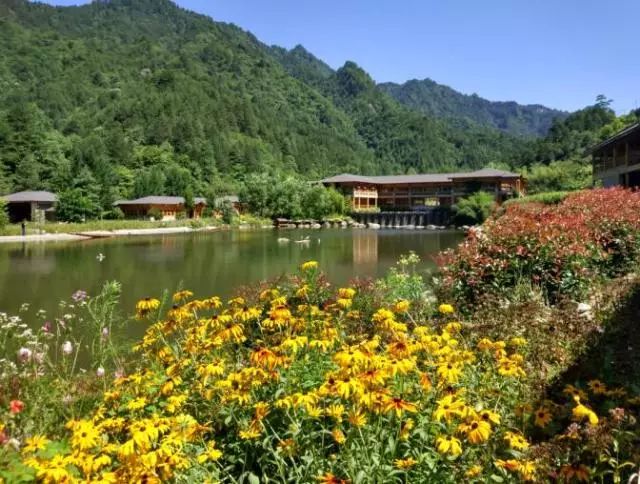 陕西紫阳富硒茶品天下(紫阳富硒茶厂)-硒宝网