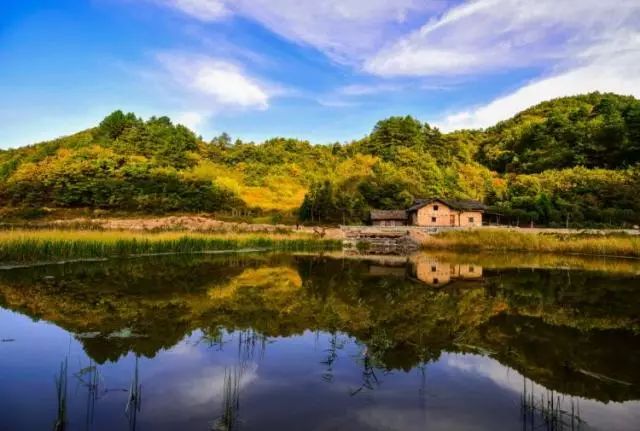 陕西紫阳富硒茶品天下(紫阳富硒茶厂)-硒宝网