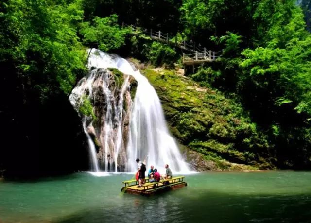 陕西紫阳富硒茶品天下(紫阳富硒茶厂)-硒宝网
