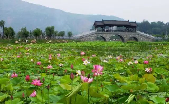 陕西紫阳富硒茶品天下(紫阳富硒茶厂)-硒宝网