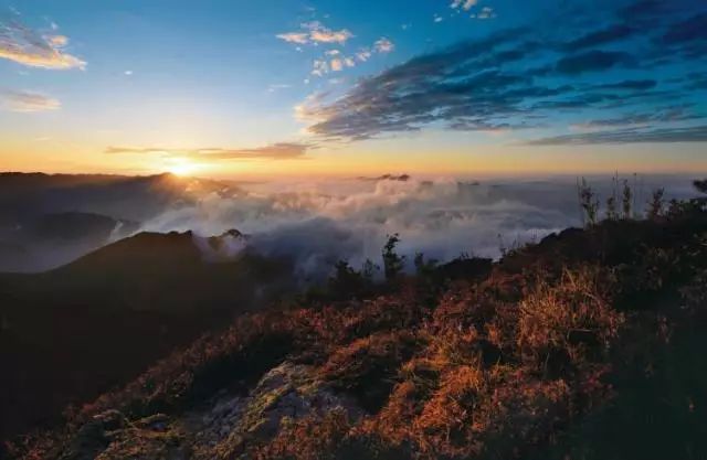 陕西紫阳富硒茶品天下(紫阳富硒茶厂)-硒宝网