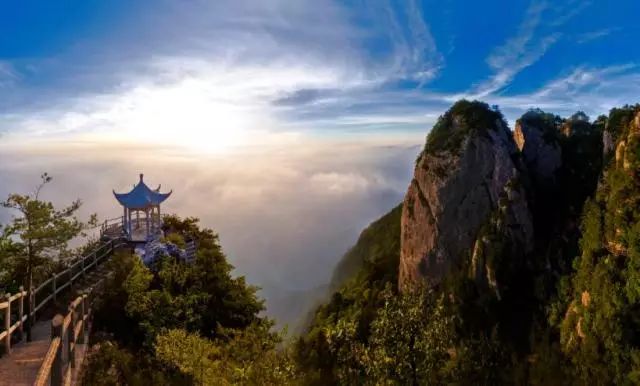 陕西紫阳富硒茶品天下(紫阳富硒茶厂)-硒宝网