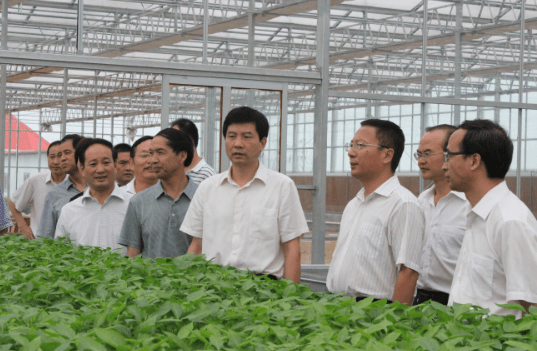 安康富硒茶产业的现状（安康富硒茶地理标志）-硒宝网