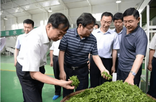 安康富硒茶产业的现状（安康富硒茶地理标志）-硒宝网