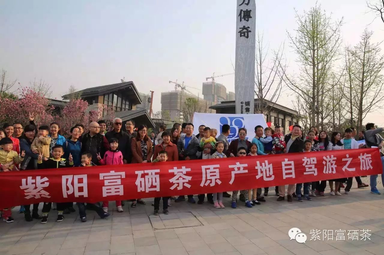 安康紫阳富硒茶观光园(安康紫阳茶园旅游)-硒宝网