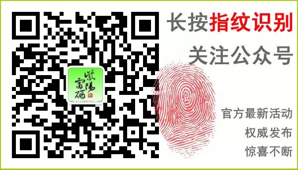 安康紫阳富硒茶观光园(安康紫阳茶园旅游)-硒宝网