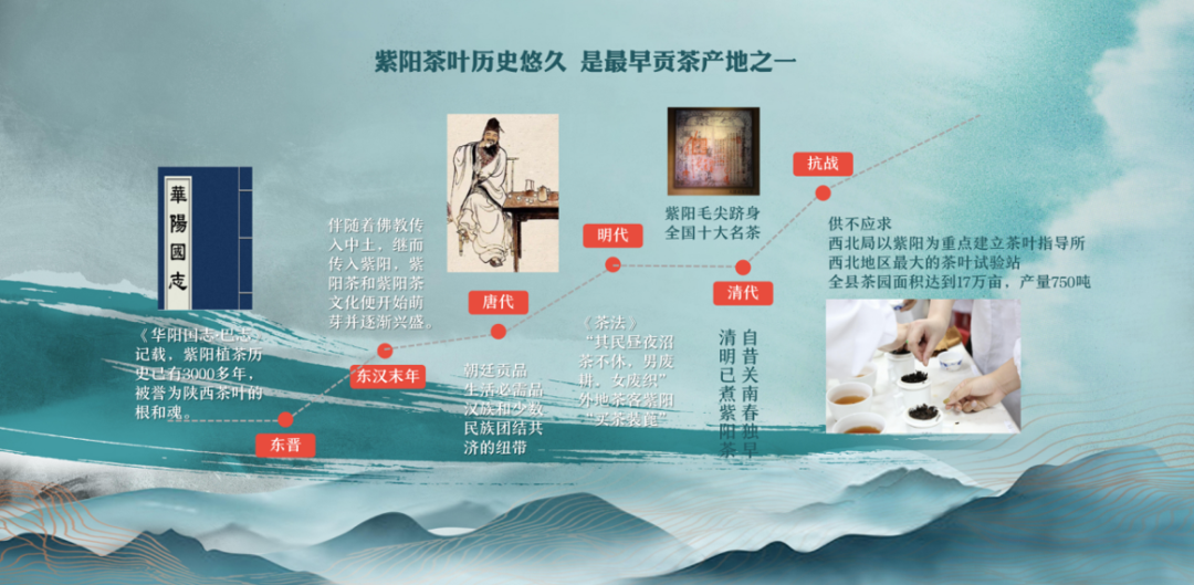 紫阳富硒茶的品质特征(紫阳富硒茶属于绿茶吗)-硒宝网