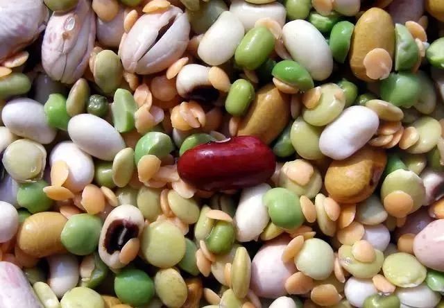 龙牡壮骨颗粒补钙效果怎么样(补钙龙牡壮骨颗粒用量)-硒宝网