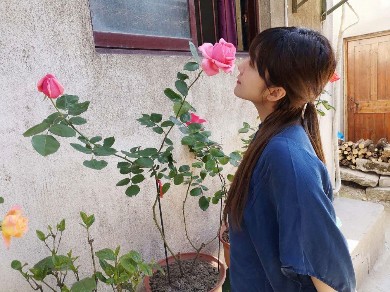 龙井茶好还是富硒茶好（好龙井茶的标准）-硒宝网