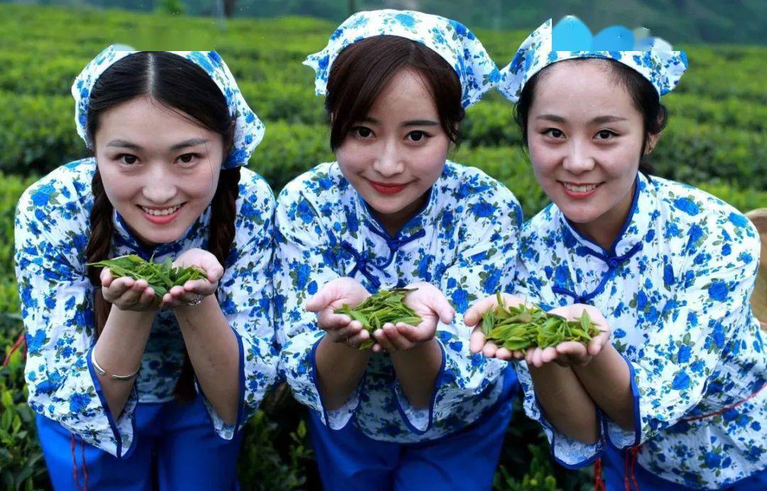 紫阳富硒茶全国排第几(紫阳富硒茶排名)-硒宝网