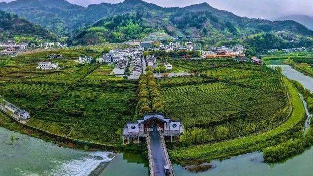 紫阳富硒茶全国排第几(紫阳富硒茶排名)-硒宝网