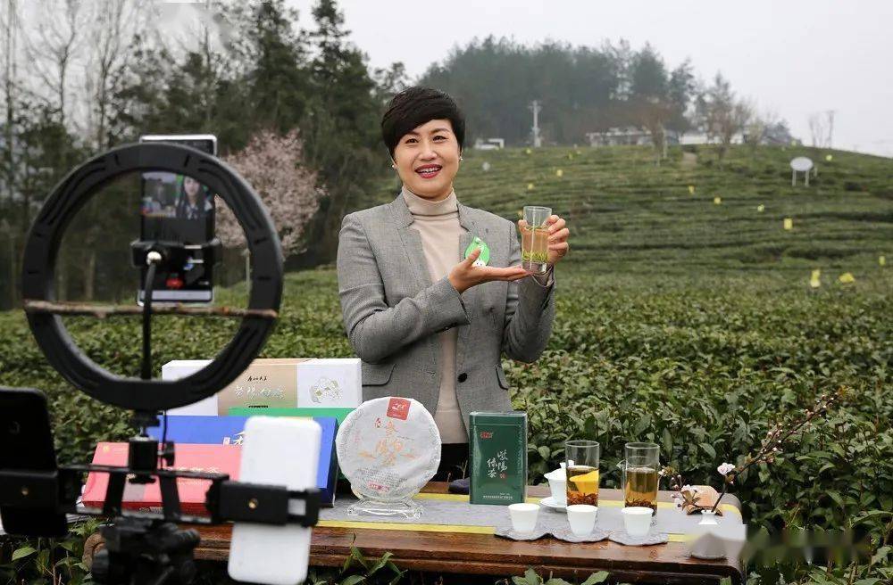 紫阳富硒茶全国排第几(紫阳富硒茶排名)-硒宝网