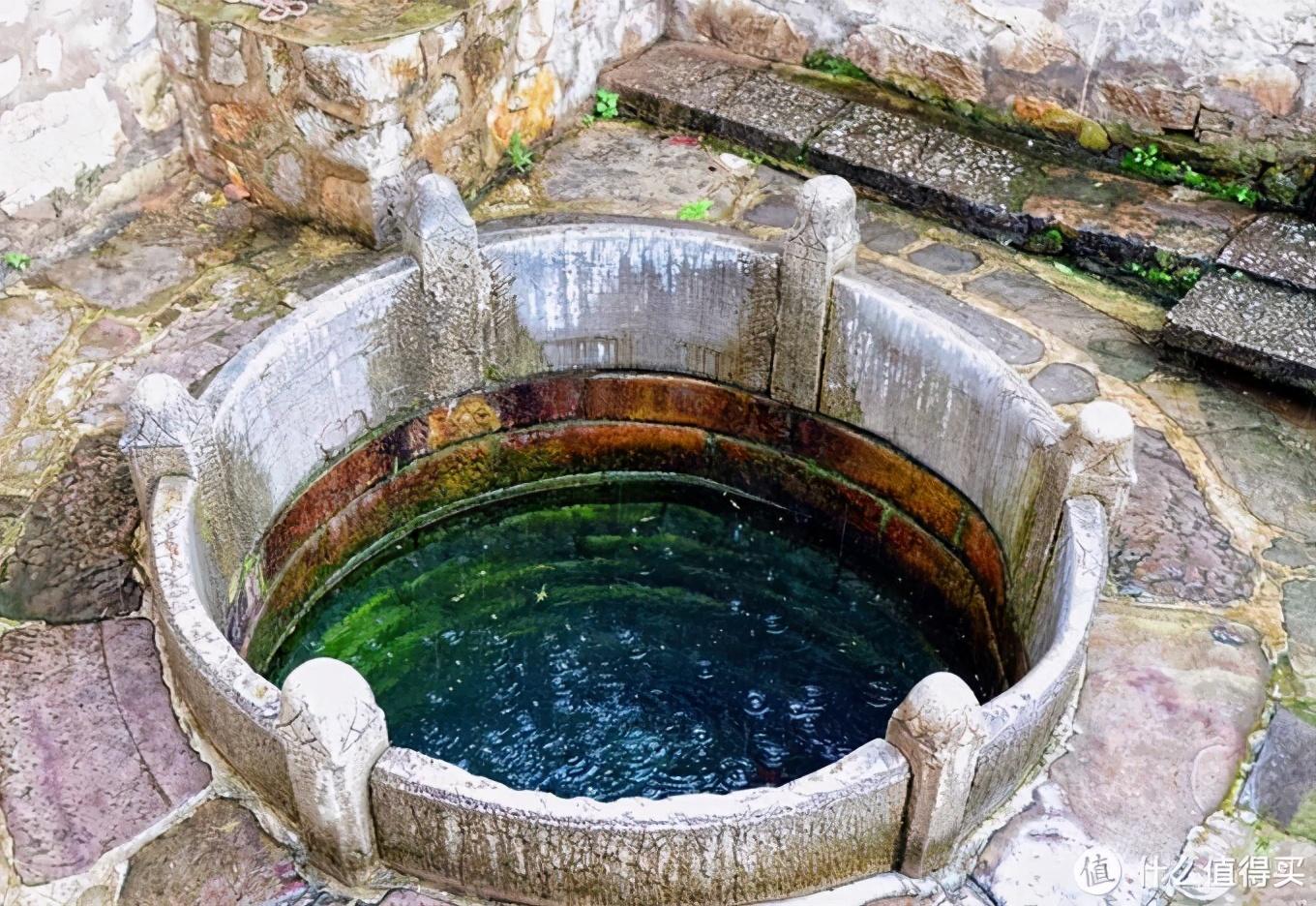 龙井茶好还是富硒茶好（龙井茶含硒量是多少）-硒宝网