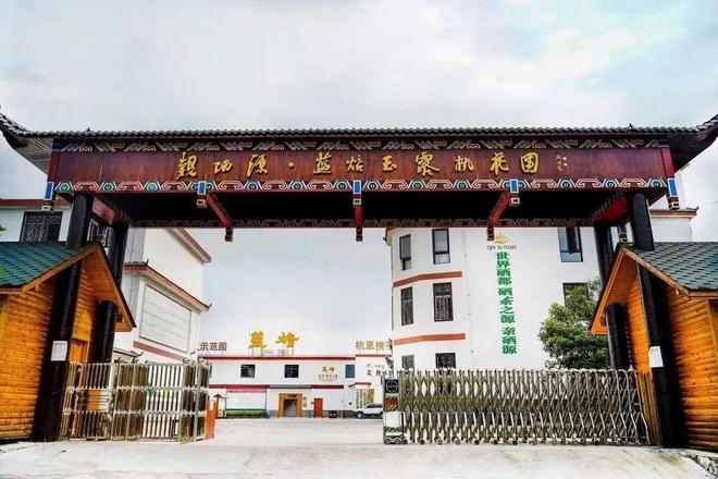 有名的富硒茶玉露工厂(恩施玉露茶和富硒茶一样吗)-硒宝网