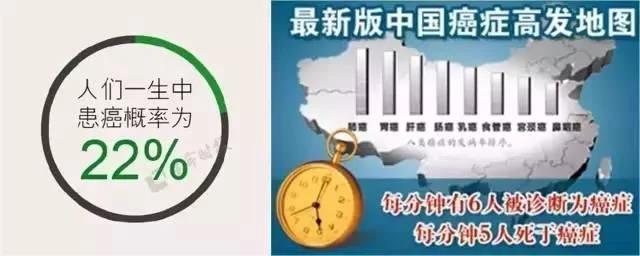 富硒茶和蒿稀茶哪种好(蒿稀绿紫阳毛尖)-硒宝网