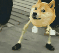 小狗怎么补钙最好方法(小狗补钙的最好方法)-硒宝网